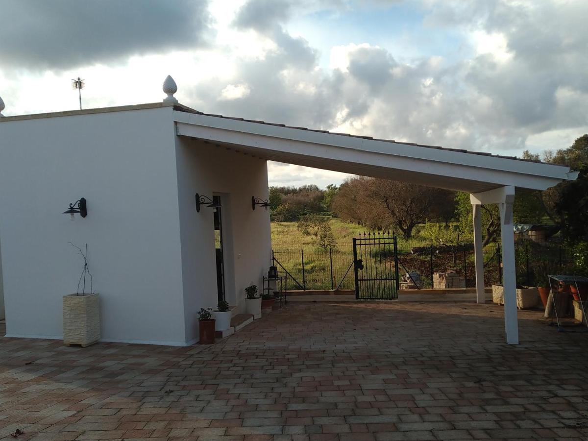 Villa Aurora Santa Maria al Bagno Eksteriør billede