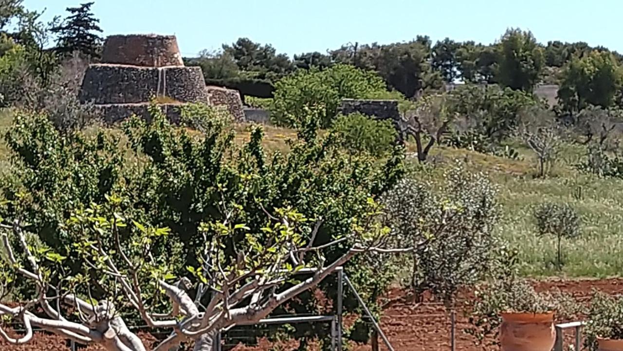 Villa Aurora Santa Maria al Bagno Eksteriør billede
